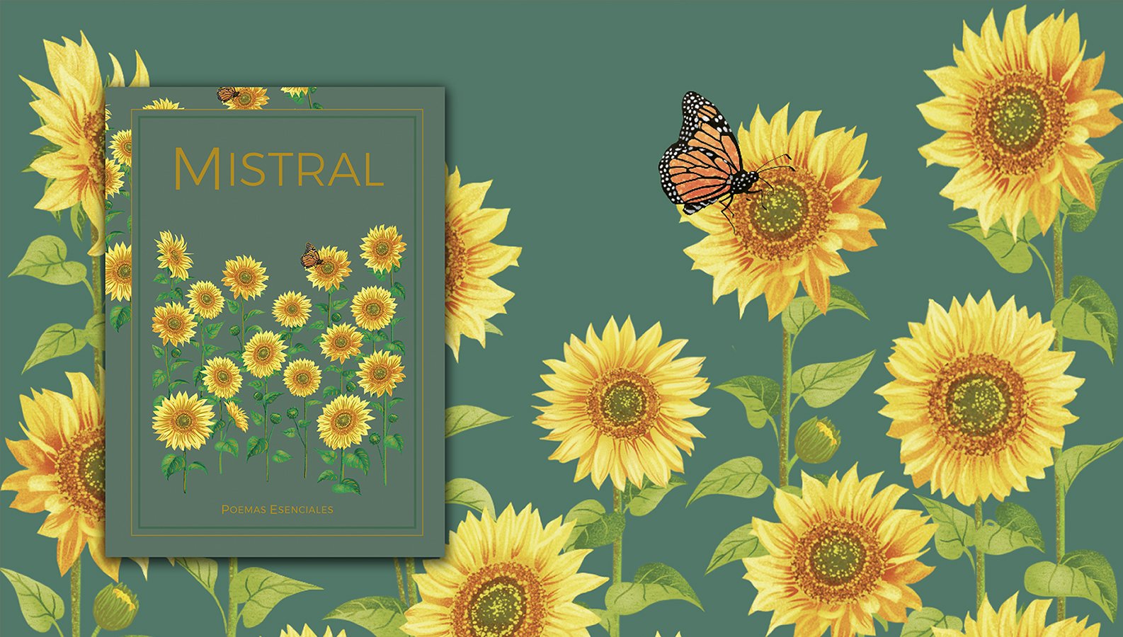 salvat_il·lustració_coberta llibre_girasols_elisaancori2.jpg