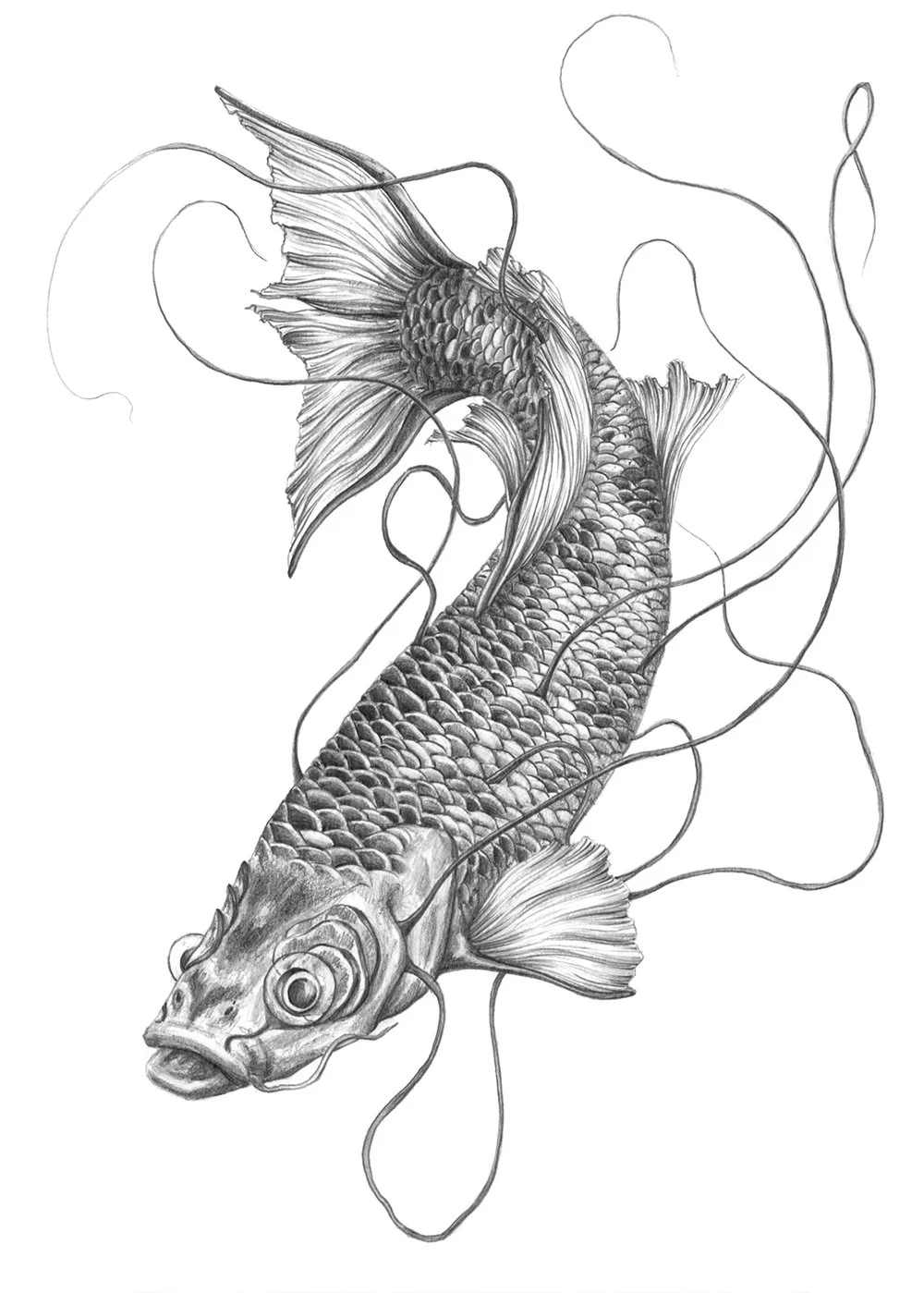 Dibujo_1_asamu.jpg