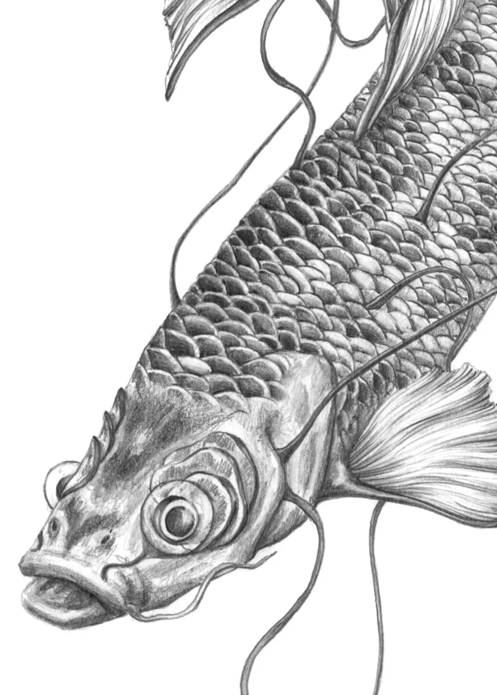 Dibujo_1_asamu_detall.jpg