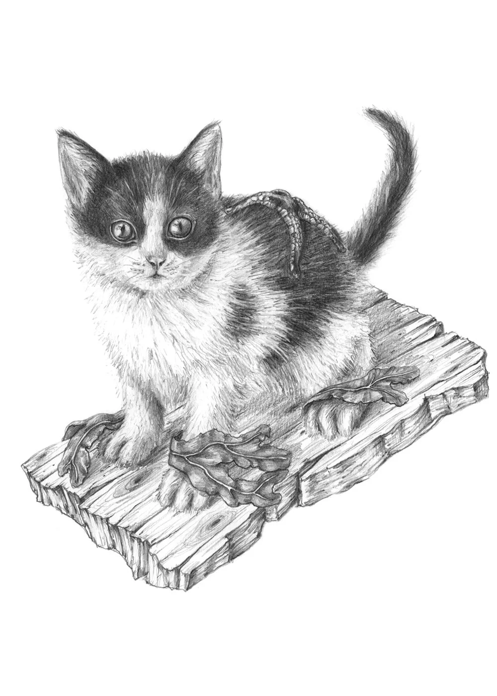 Dibujo_3_gato.jpg