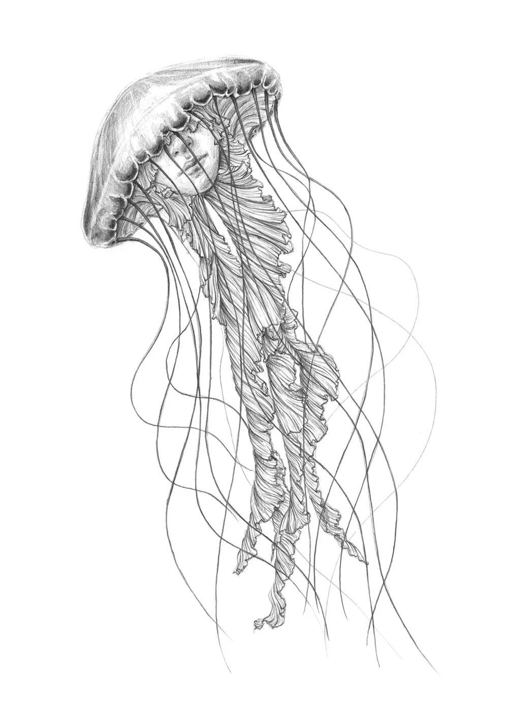 Dibujo_2_medusa.jpg