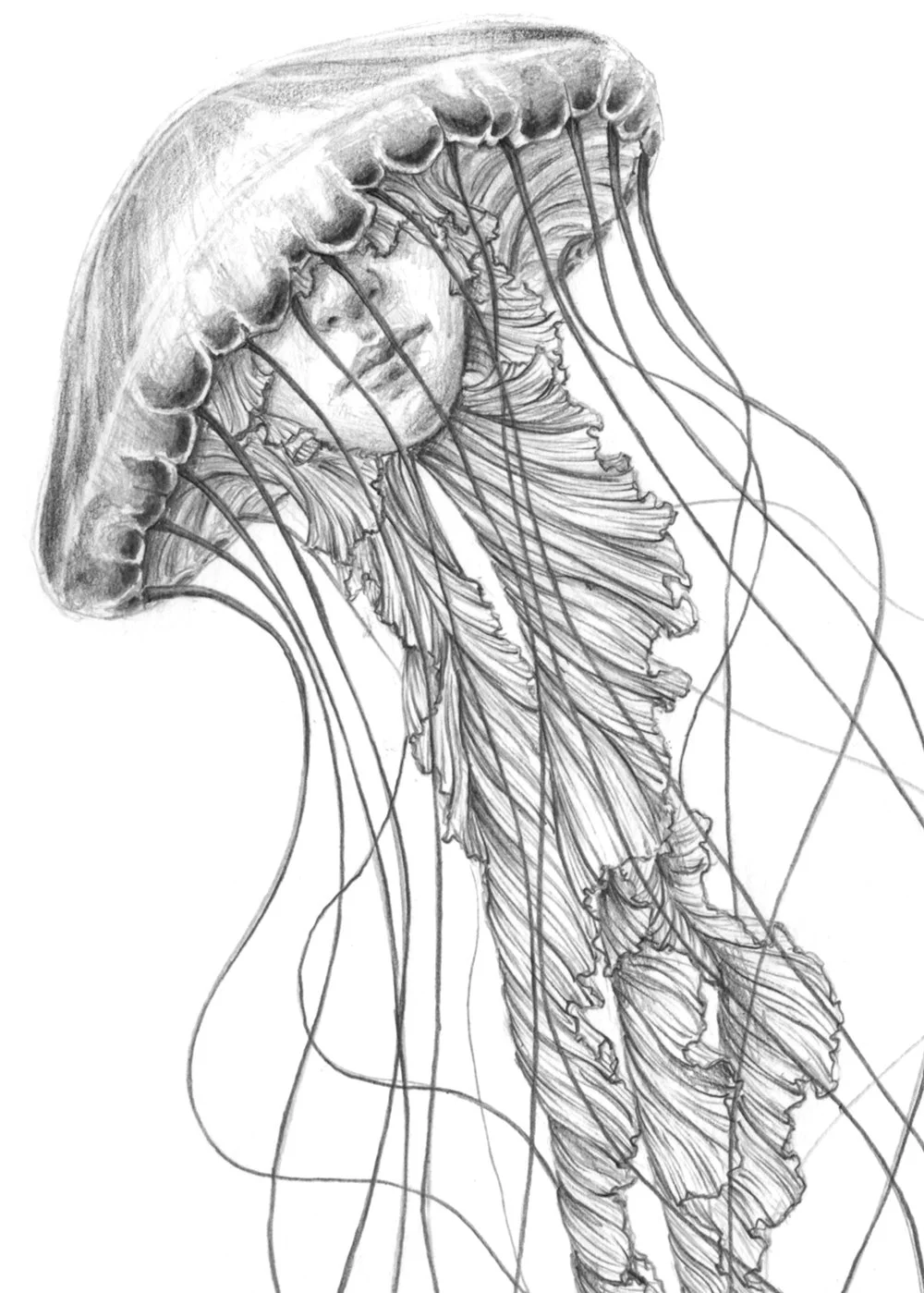 Dibujo_2_medusa_detall.jpg