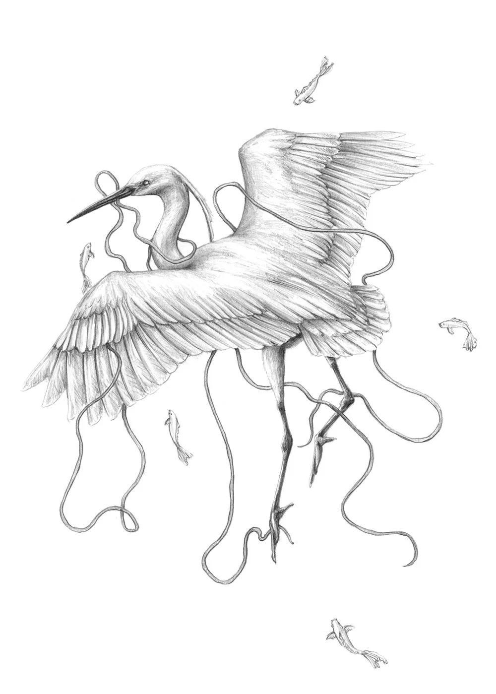 Dibujo_5_pájaro.jpg