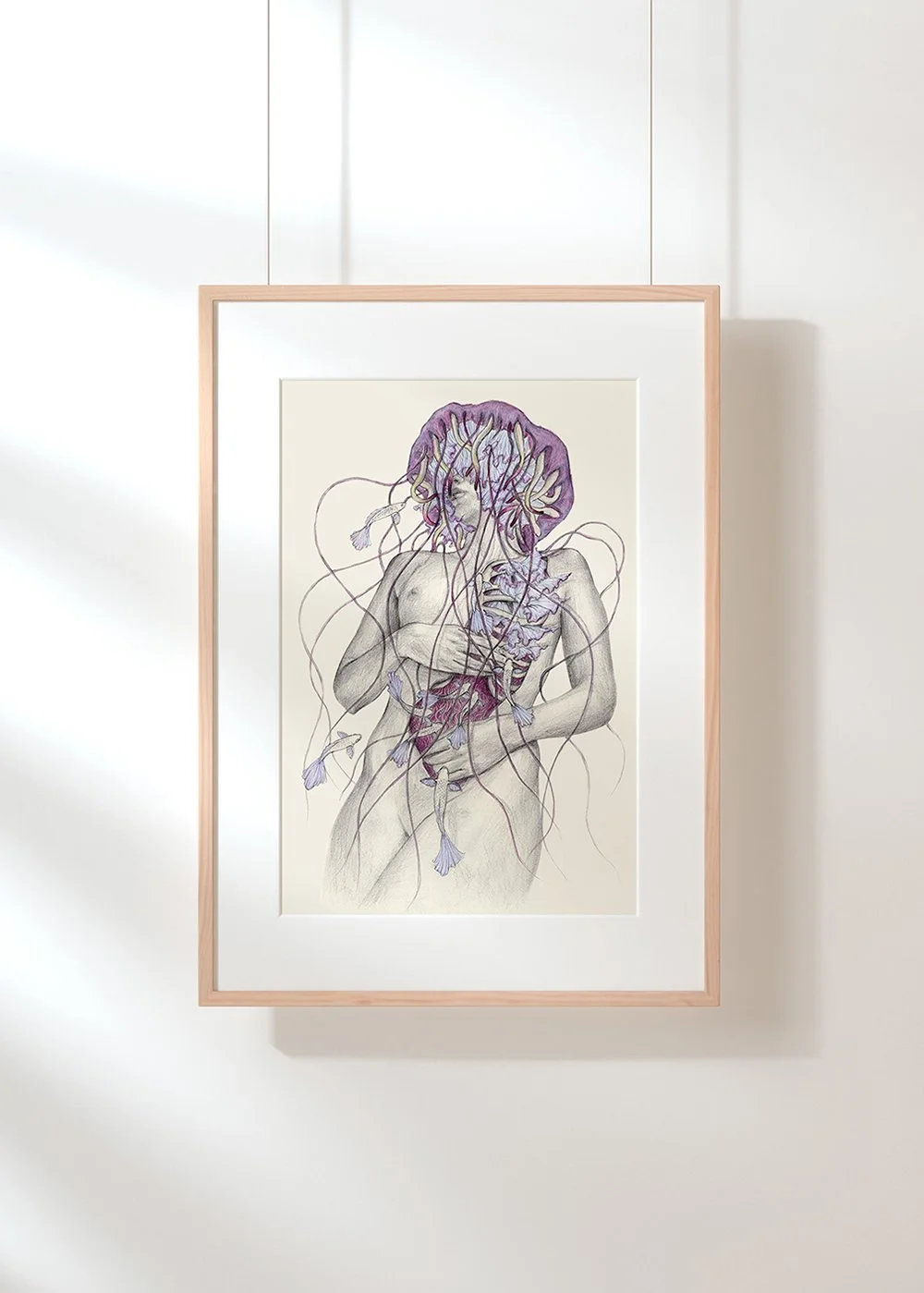 Jellyfish7_marco.jpg