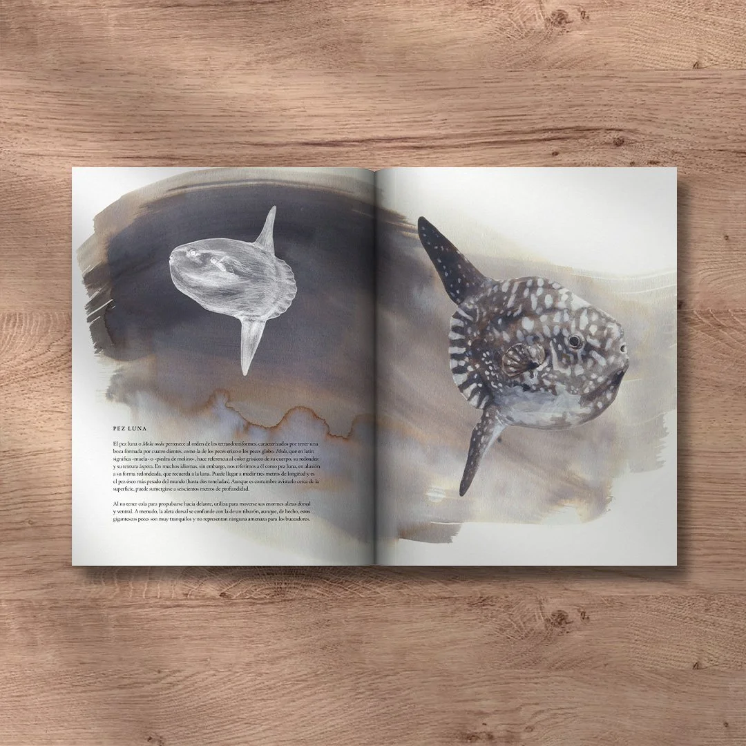 madre luna+print_elisaancori_22.jpg