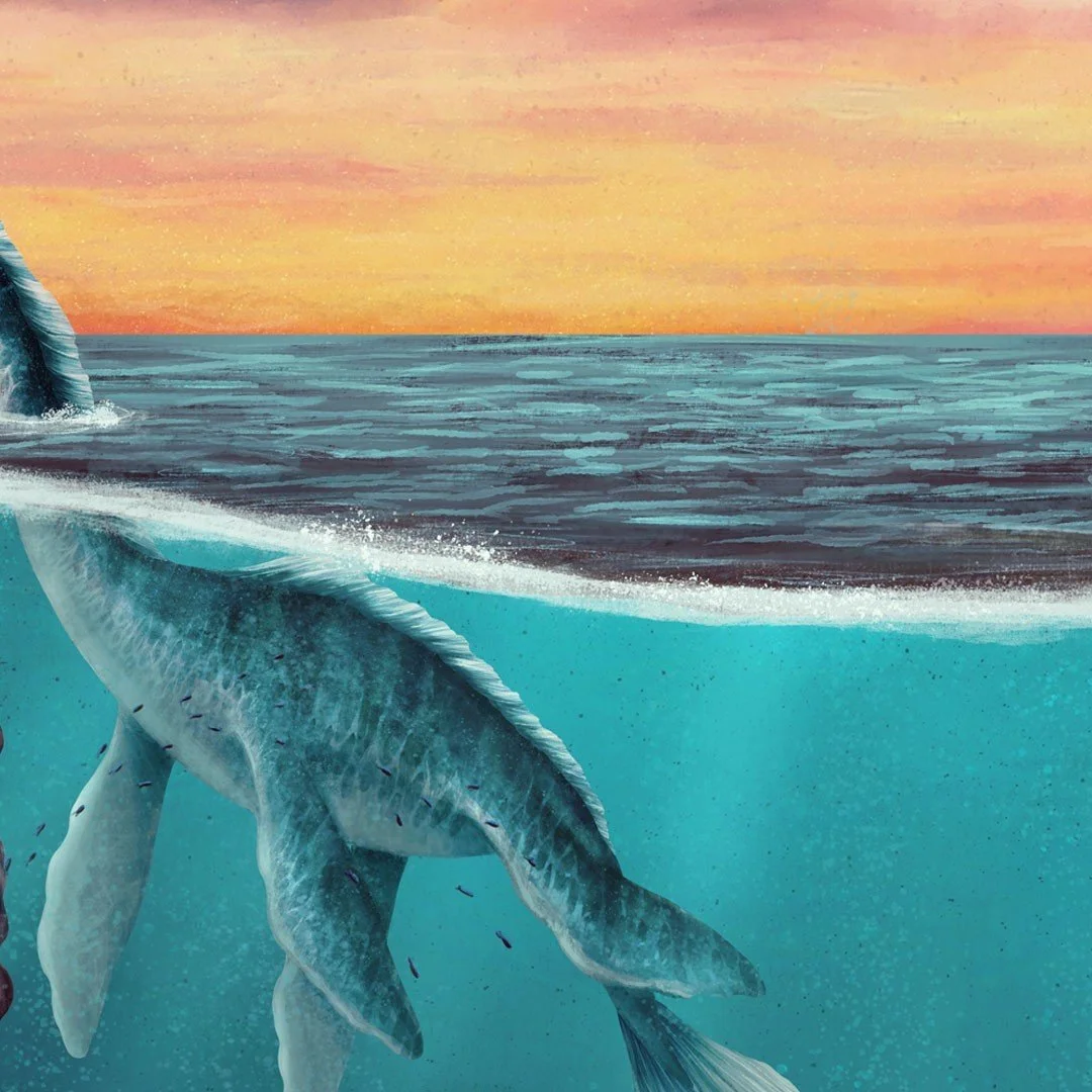 🐙 Sea monsters of the deep, one of the double page illustrations of The Hidden World of Mythological Creatures 📖🤩.⁠
⁠
Do you recognize some of these beings? Leave their names in the comments!⁠
⁠
_⁠
⁠
📕 Publishers: @sophie_verlag⁠
✏️ Author: @isa.