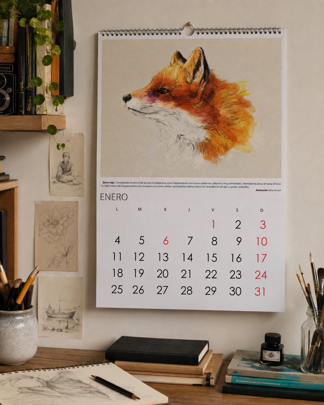 calendario animales_Faada_elisaancori_1.png
