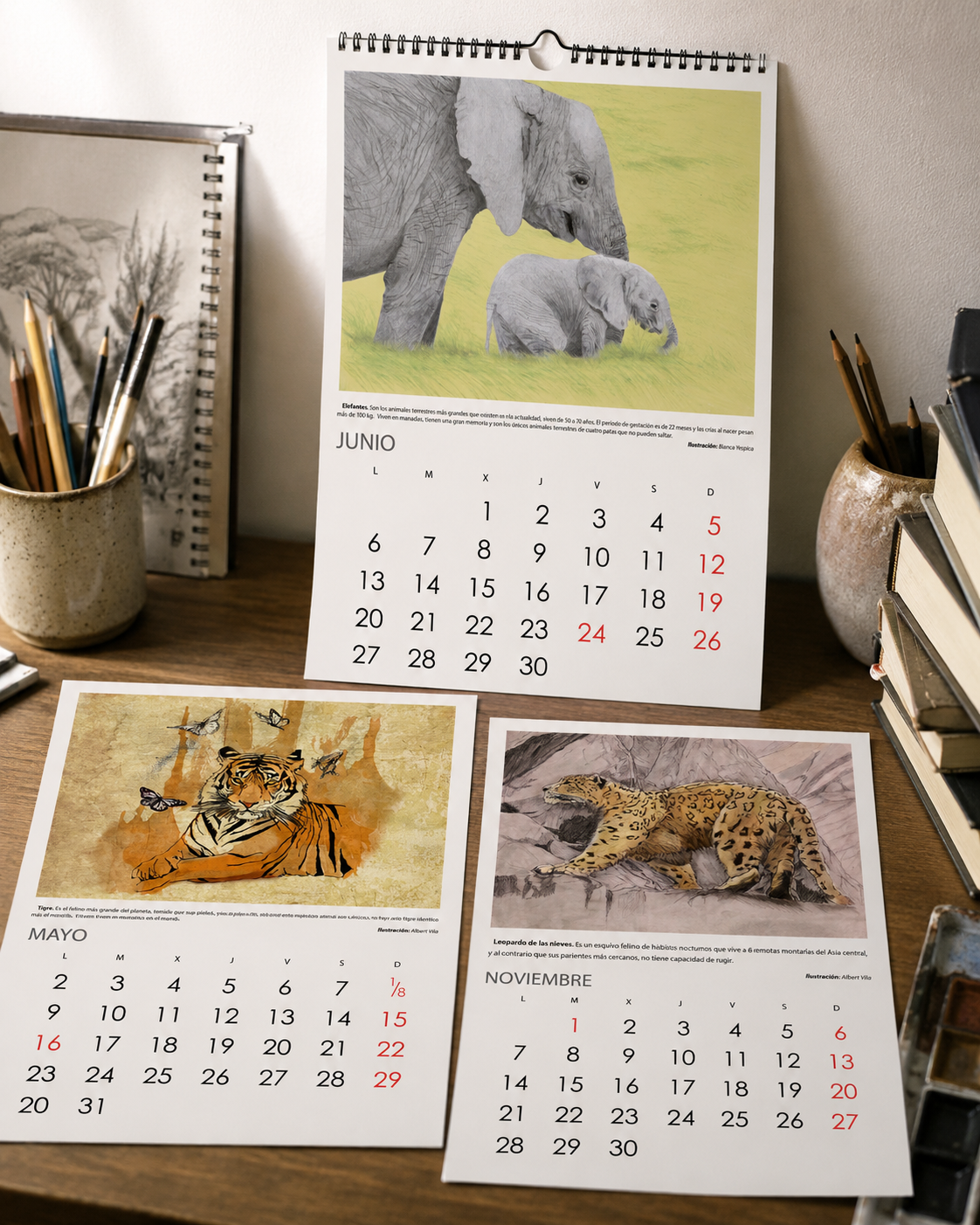 calendario animales_Faada_elisaancori_2.png