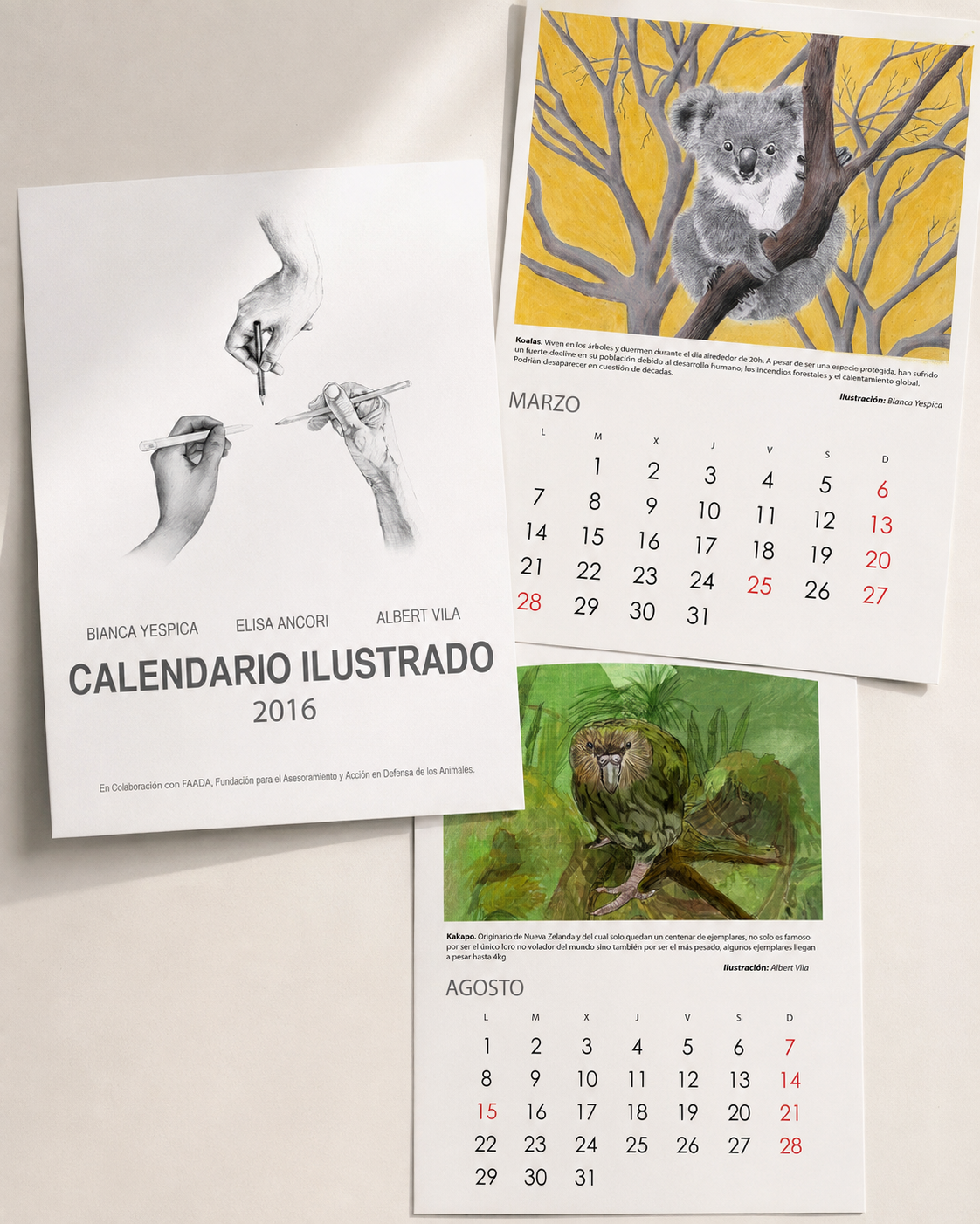 calendario animales_Faada_elisaancori_4.png