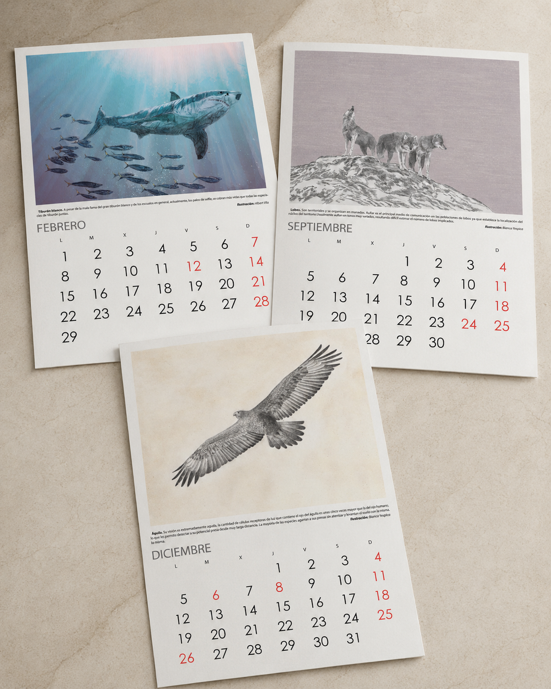 calendario animales_Faada_elisaancori_5.png