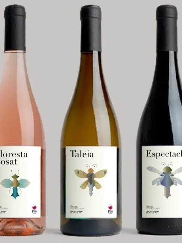 botellas_insectos_web.jpg