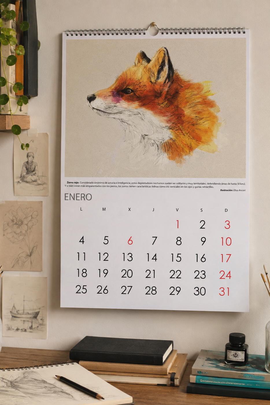 calendario animales_Faada_elisaancori_1.png