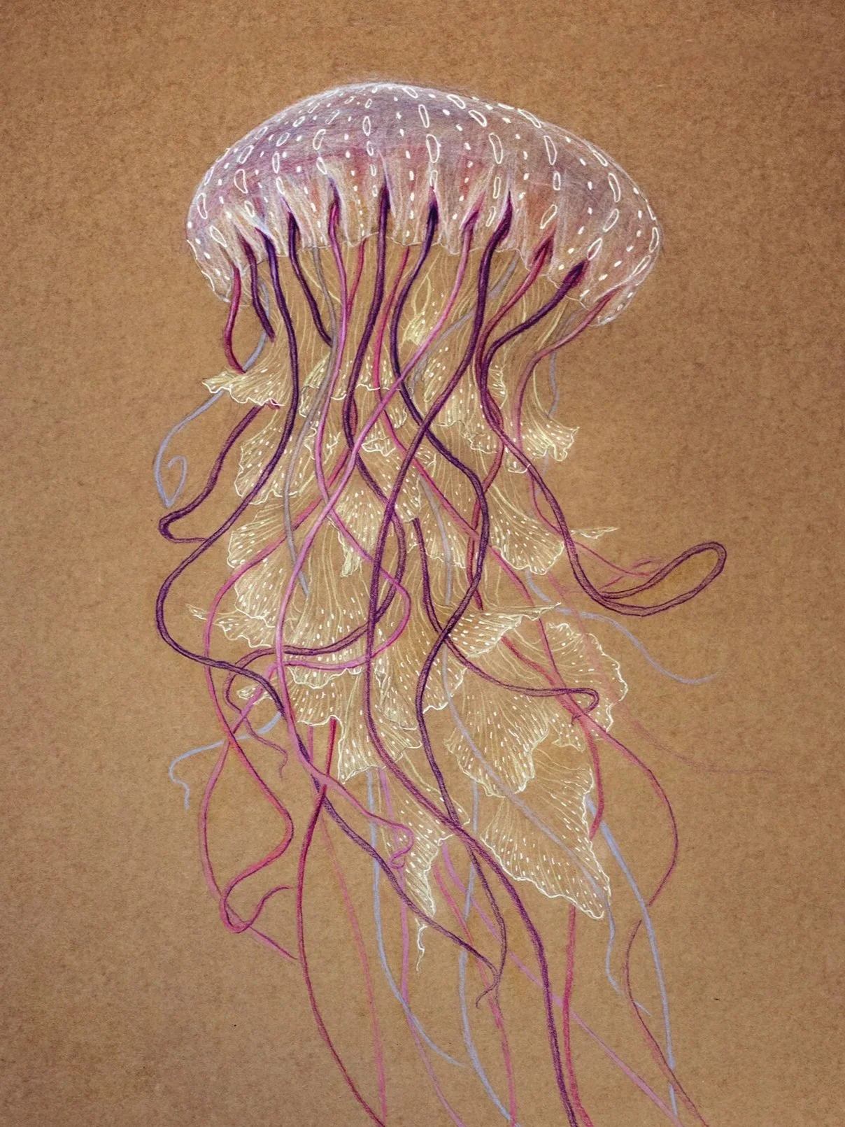 medusa_elisaancori_web.jpg