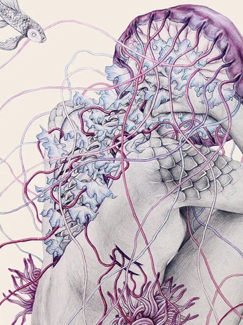 metamorfish III_jellyfish VII_elisaancori_WEB.jpg