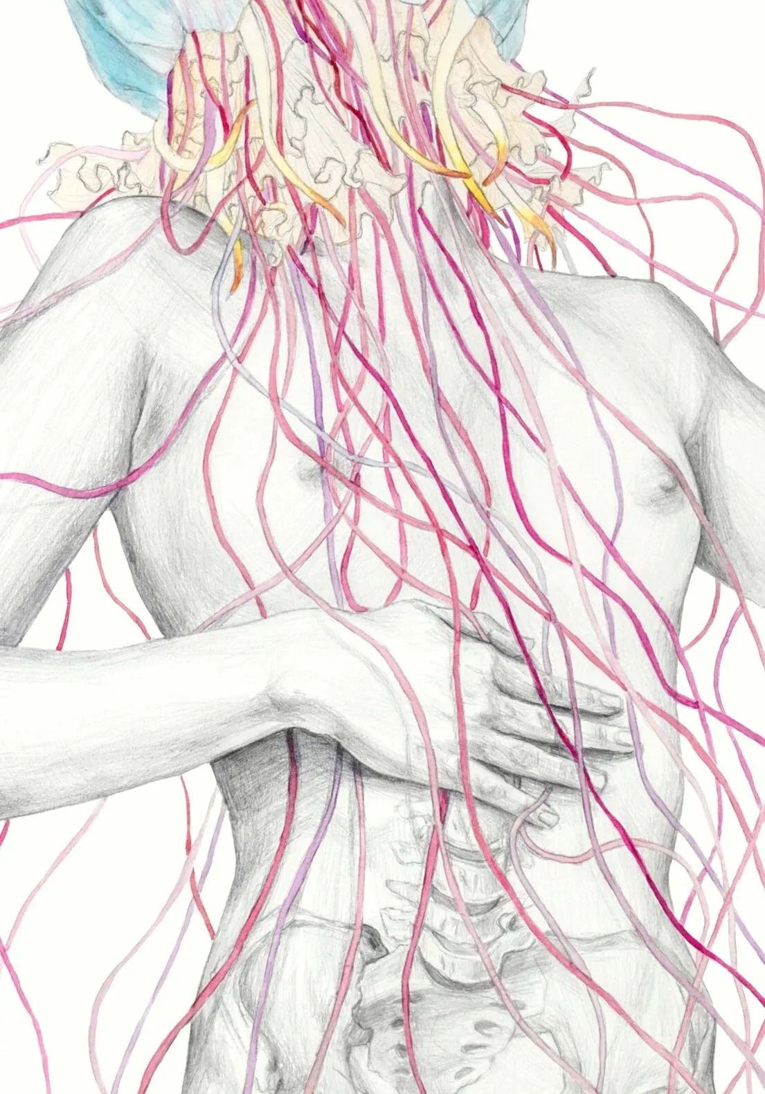 metamorfish II_jellyfish IV.jpg