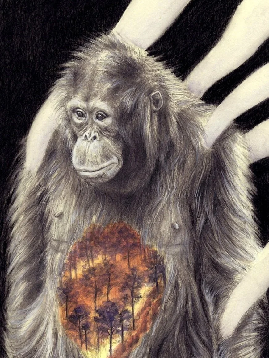 IMC_elisaancori_borneo_web.jpg