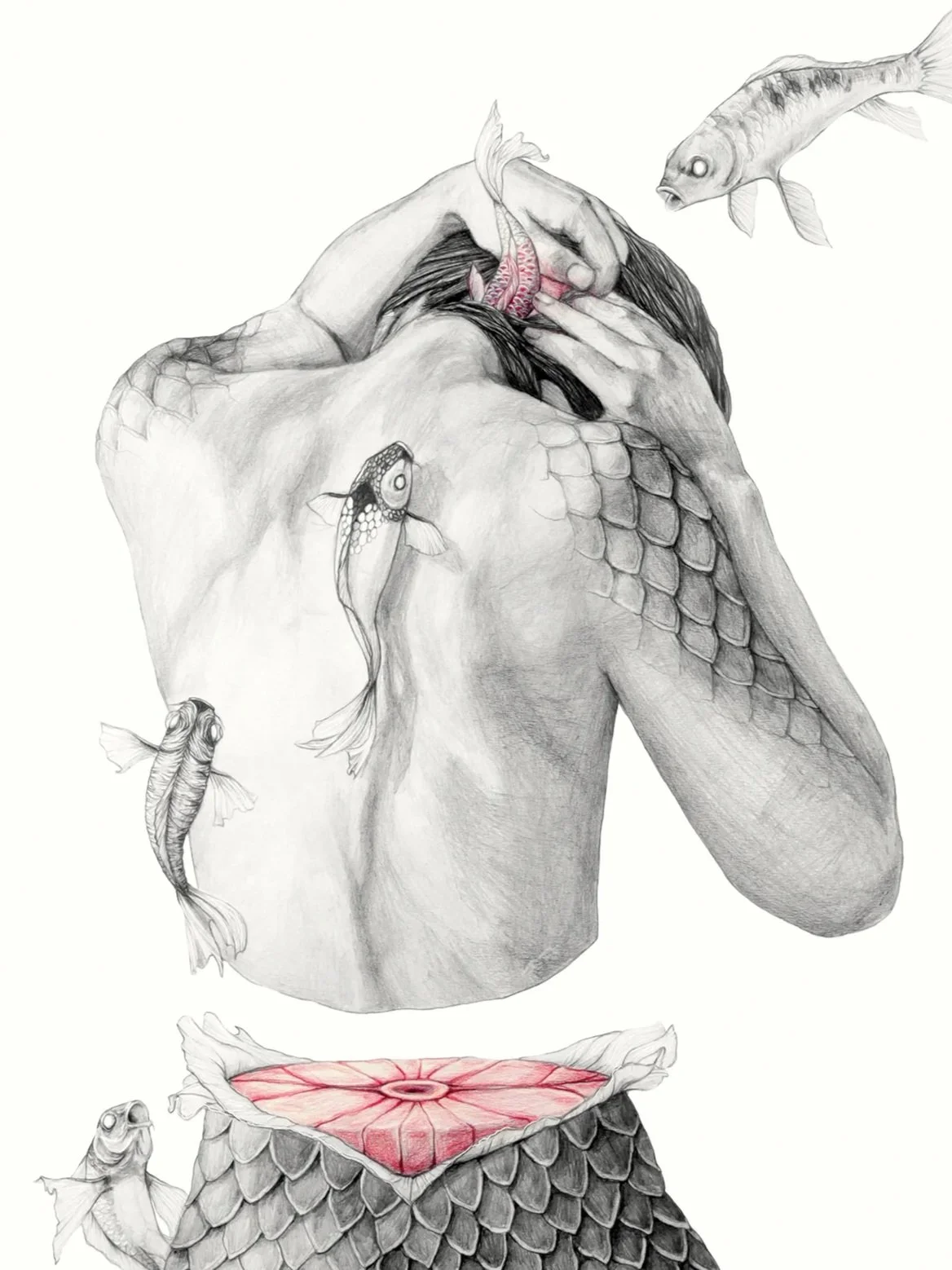 Koi I_dina4_web.jpg
