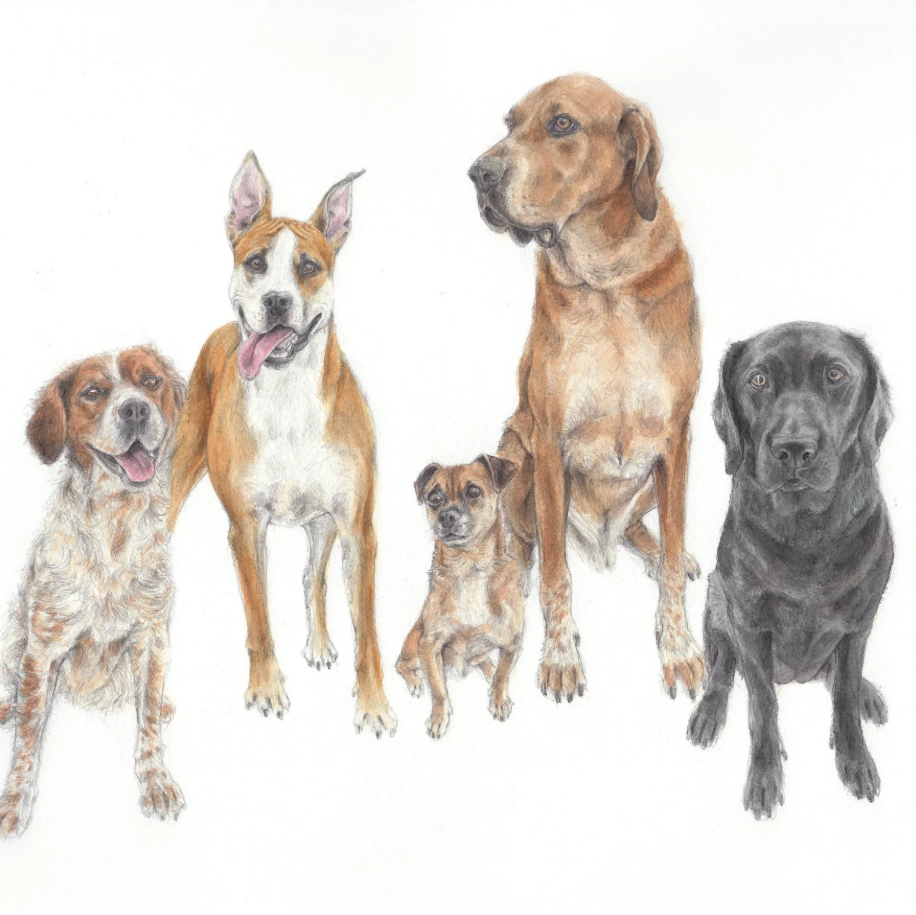 retrato+perros_ELISAANCORI_3.png