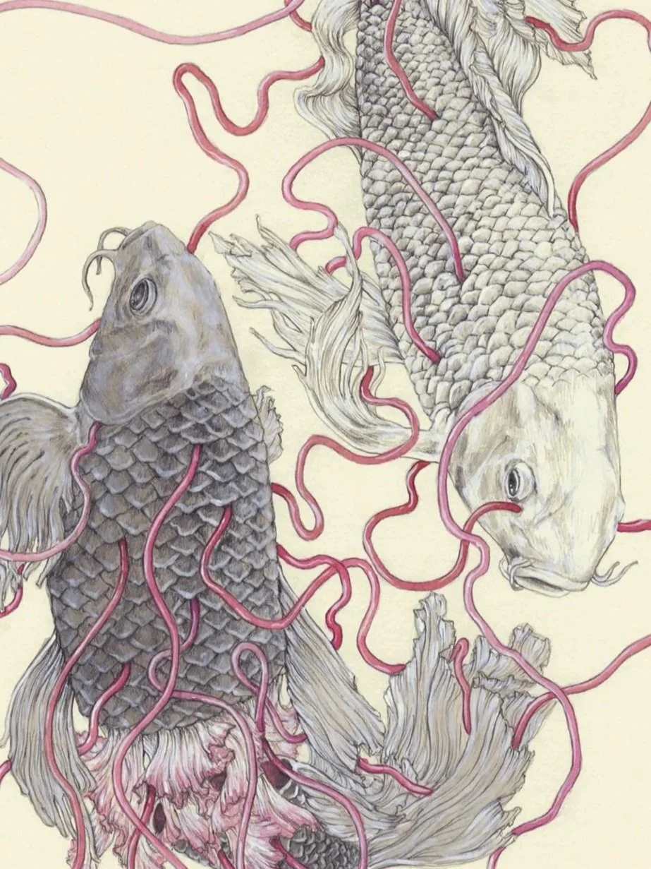 elisaancori_home-web_taijitu-eternasimbiosis.jpg