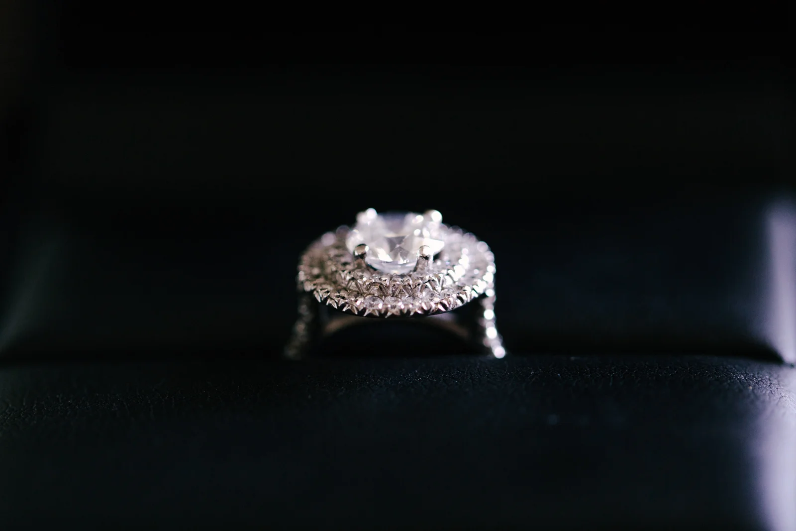 Sonia-and-Fayez-Wedding-0028.jpg