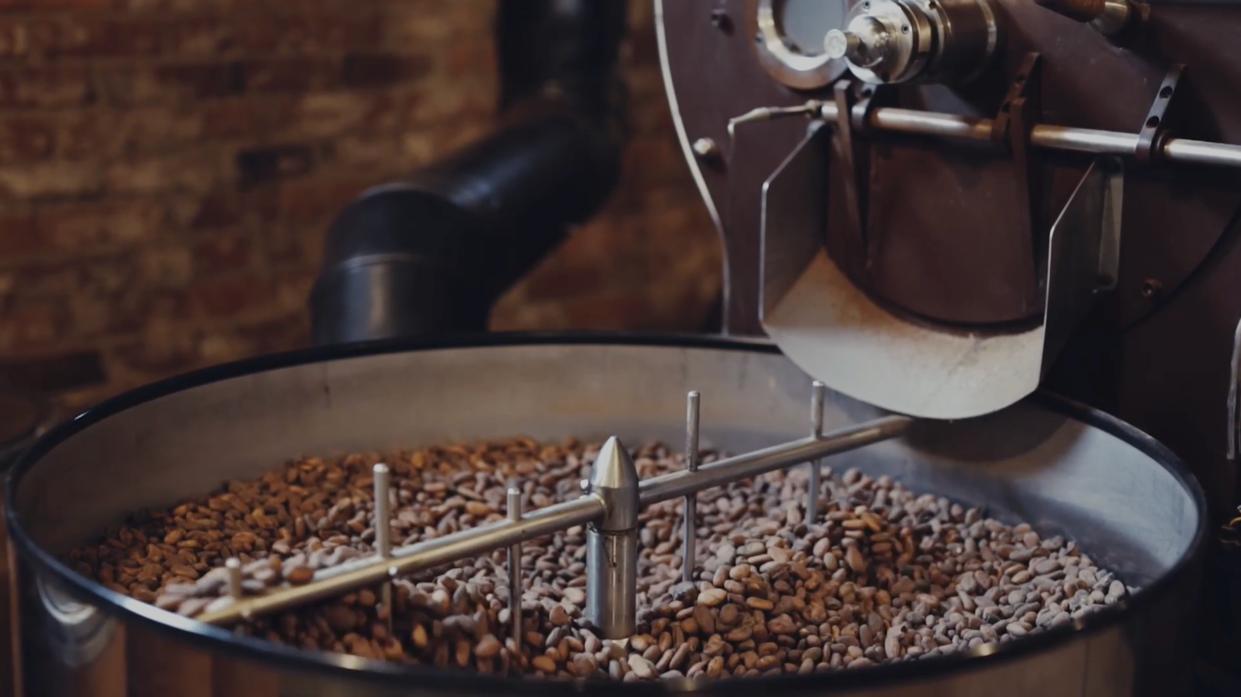 Cacao beans texture shot