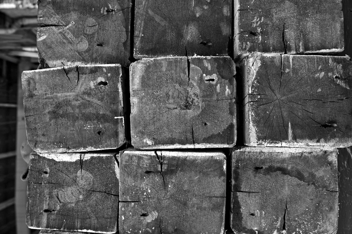 _I3A1094 1.jpg
