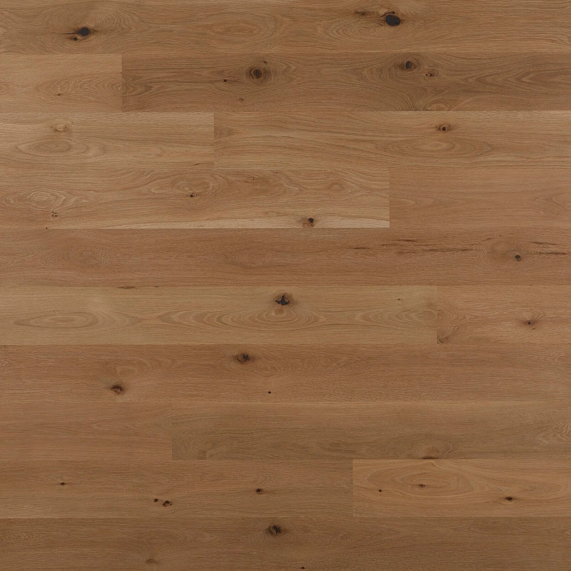 WHITE OAK, FLAT SAWN, LIGHT CHARACTER