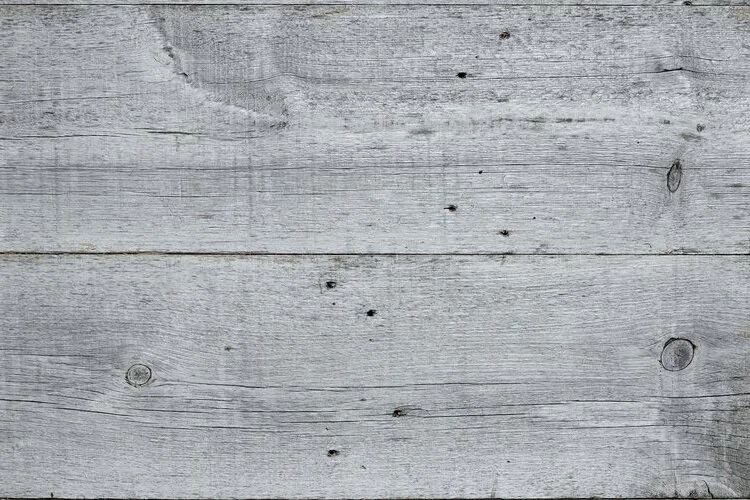 Silver+Pine.jpg