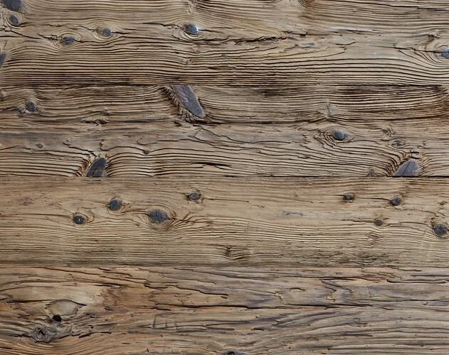 SLR+Mushroomwood.jpg