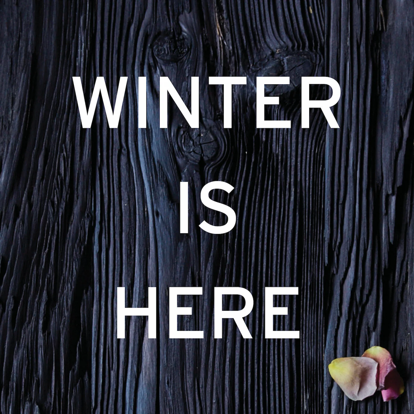 Protecting your floors this winter