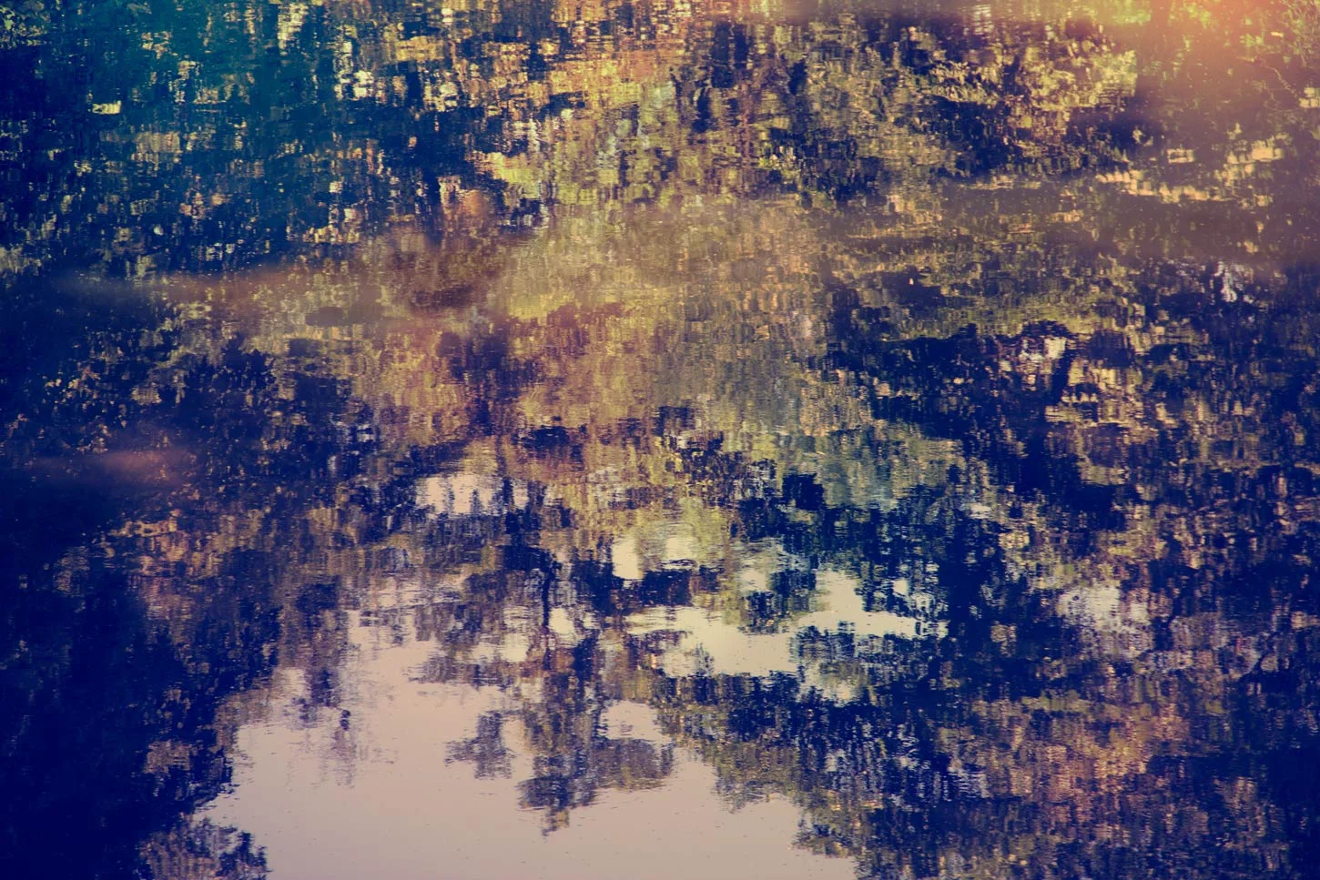 Transitory Distractions Reflections by Elizabeth Moss