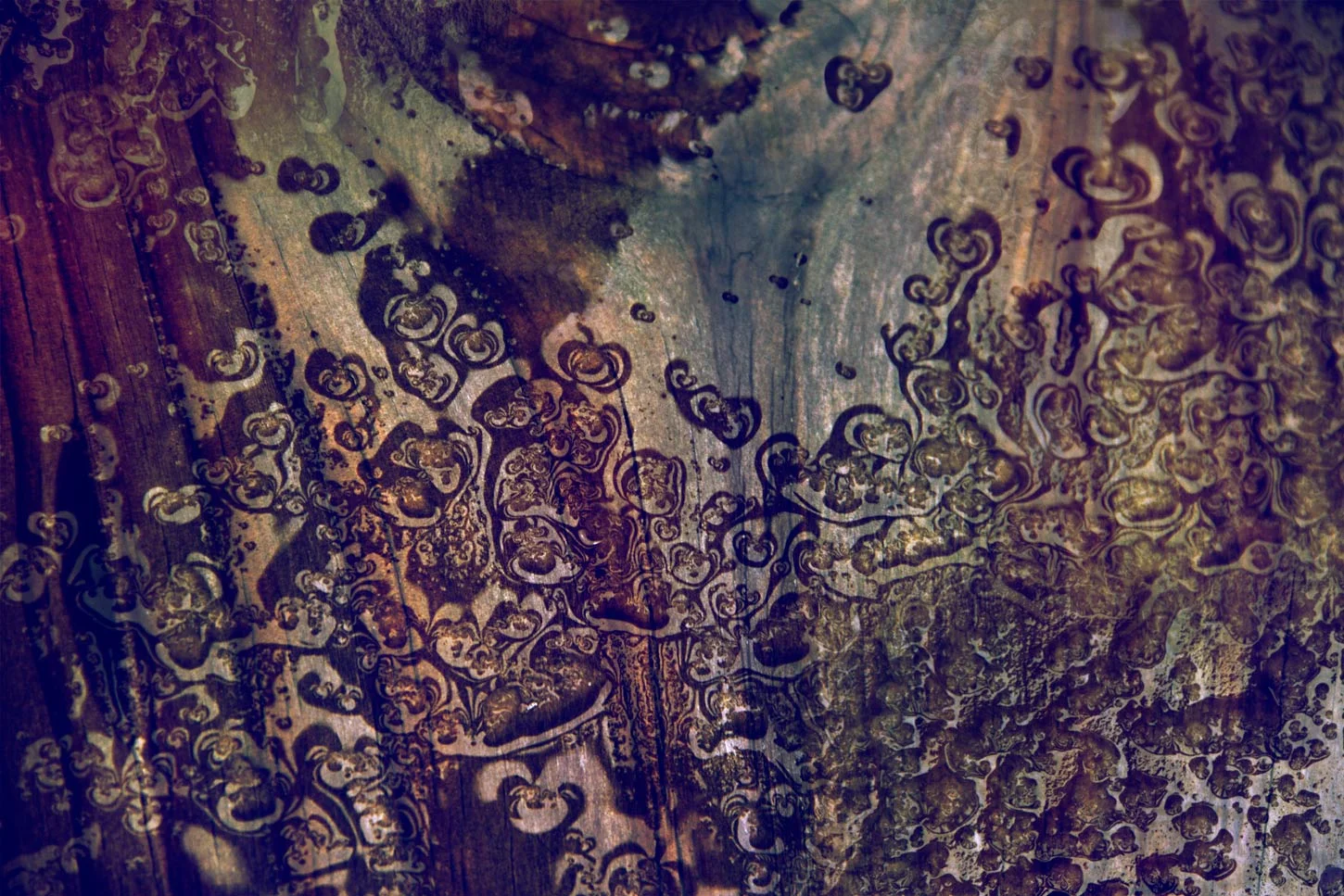 Transitory Distractions Melting Ice by Elizabeth Moss