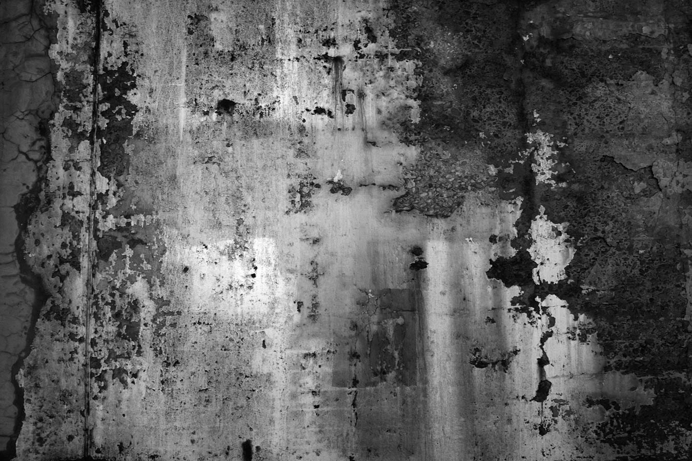 New-Jersey-Wall.jpg