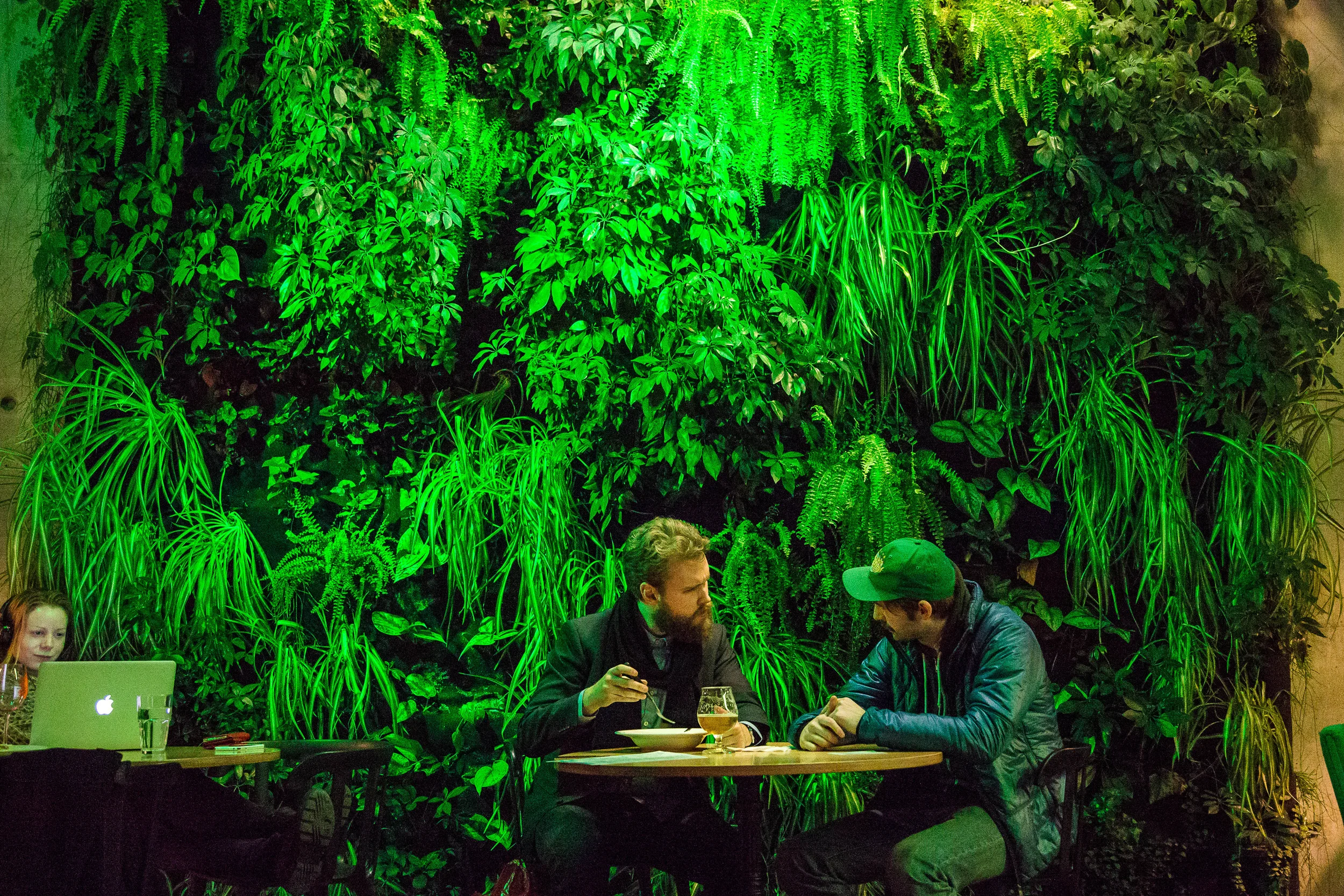 The “Plant-Wall” of Stúdentakjallarinn