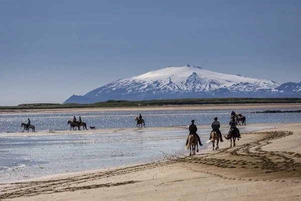 Ljósmynd/Ragnar Th. Sigurðsson