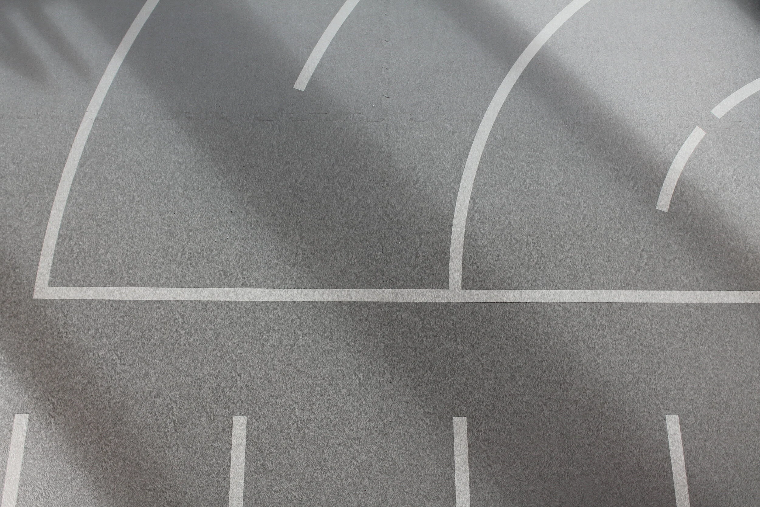 New and Improved University Gymnasium