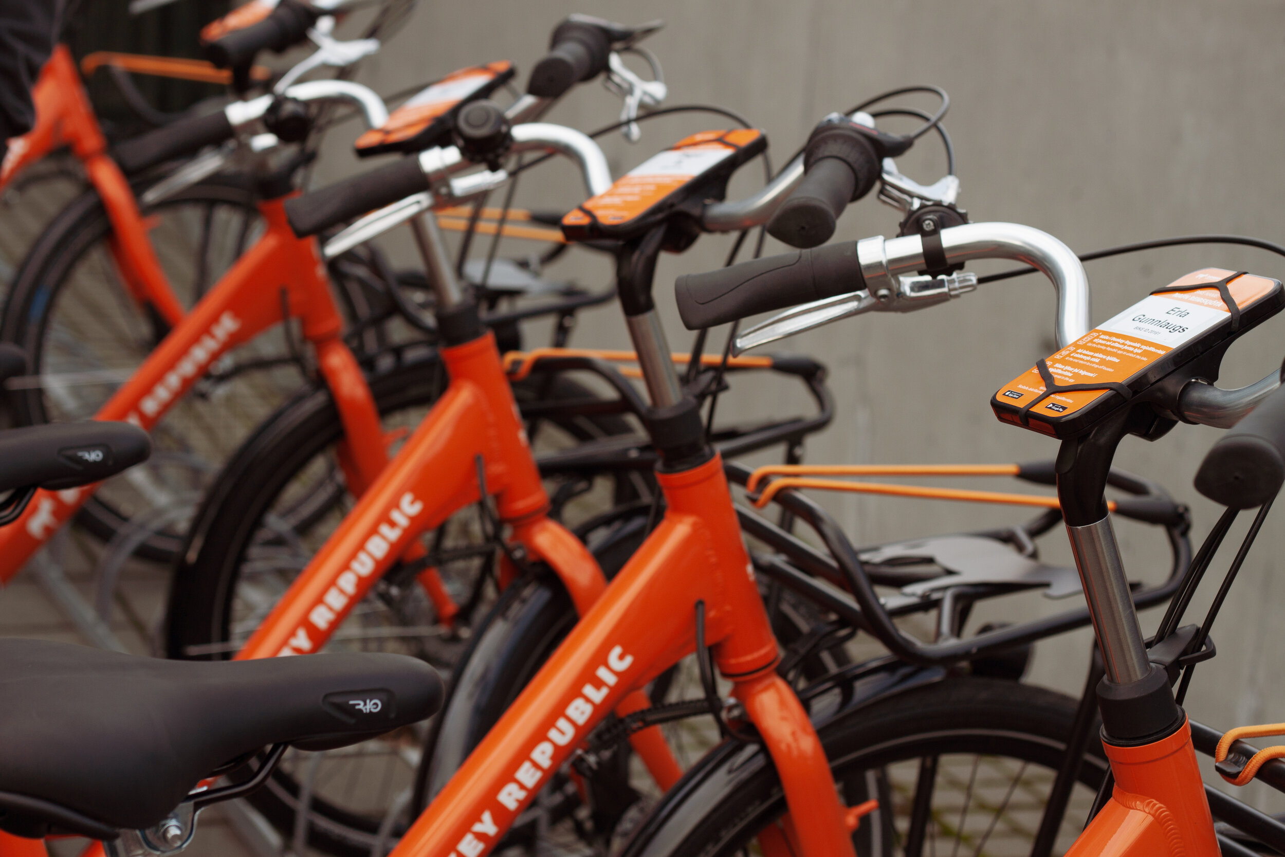 Hopping and Donkeying Your Way Around!