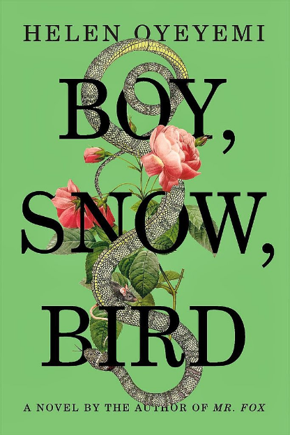 Boy-Snow-Bird.jpg