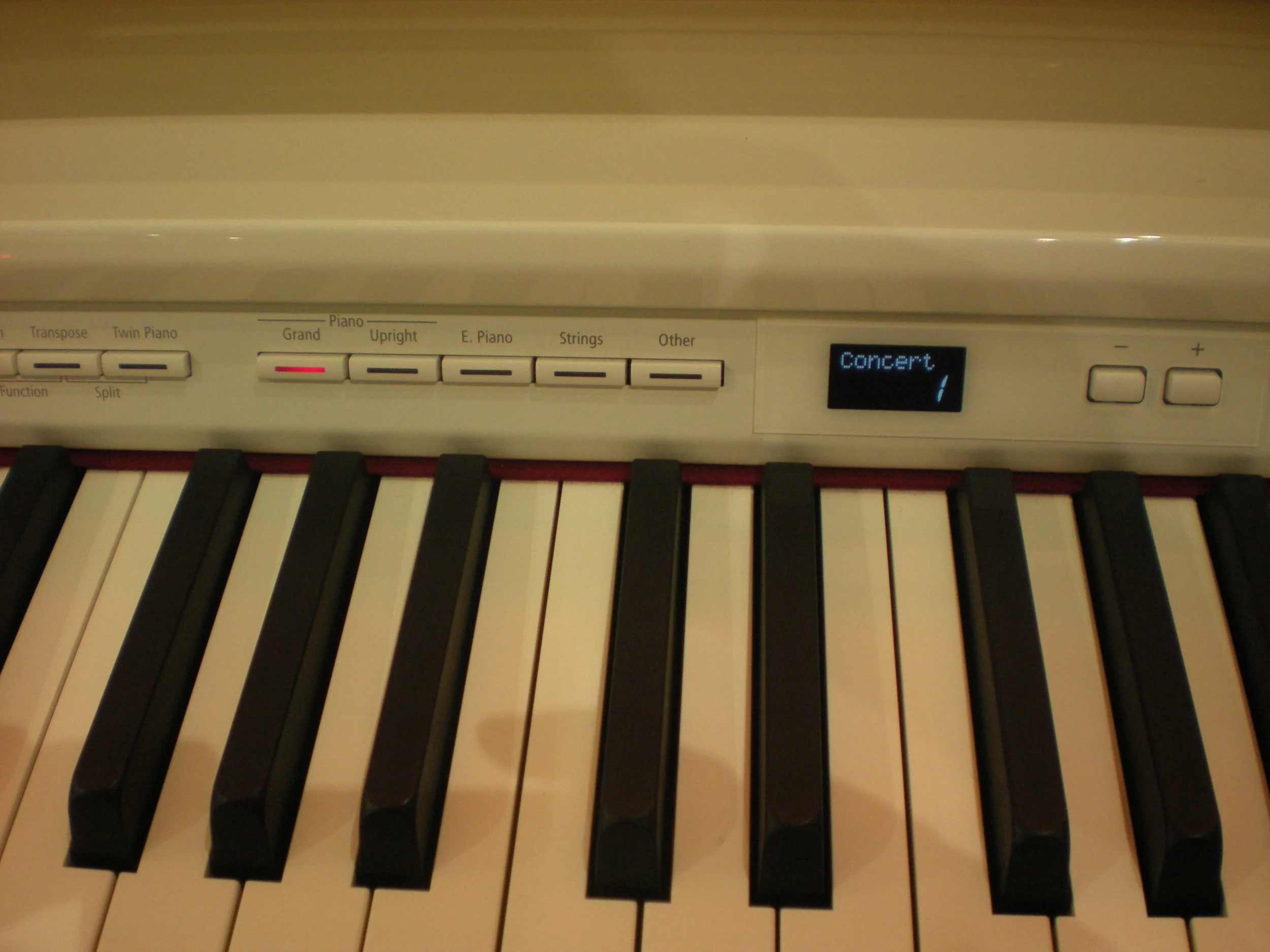 Roland DP90Se - panel