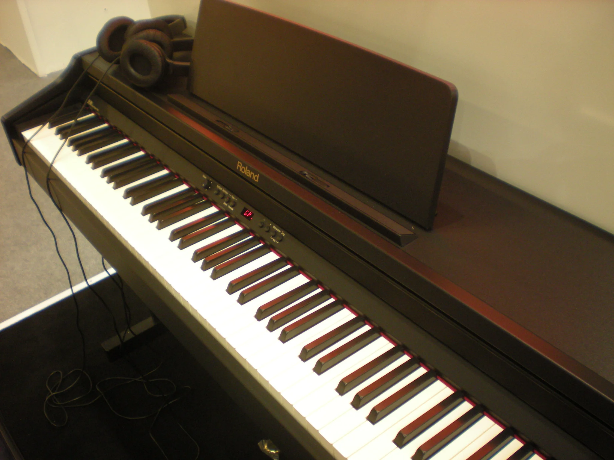 Roland RP301