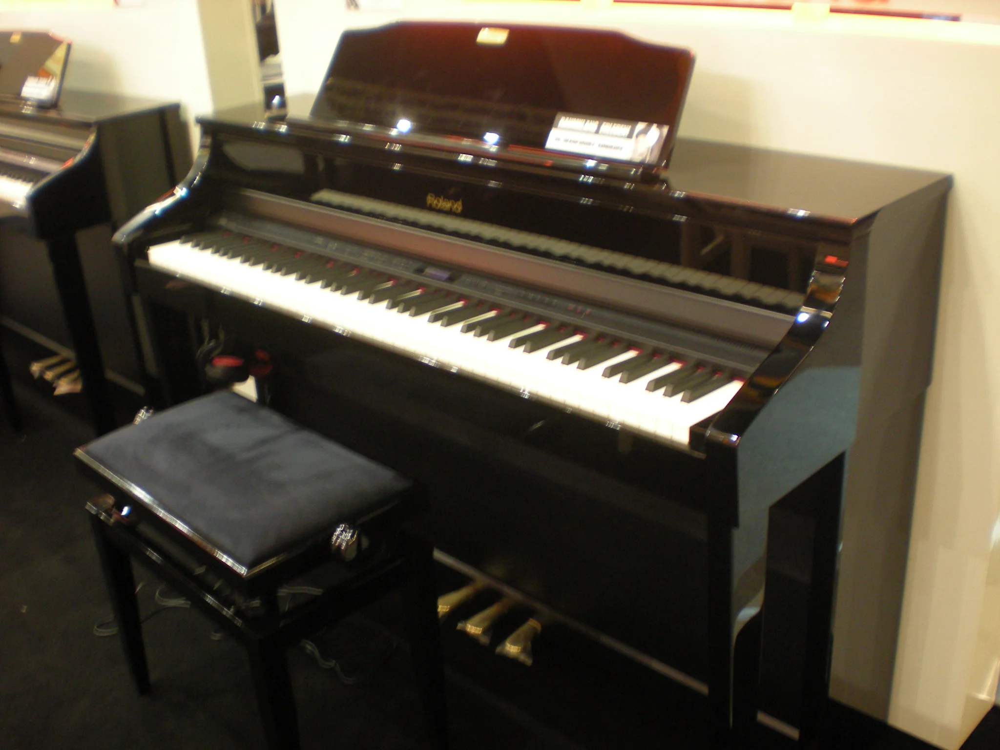 Roland HP508