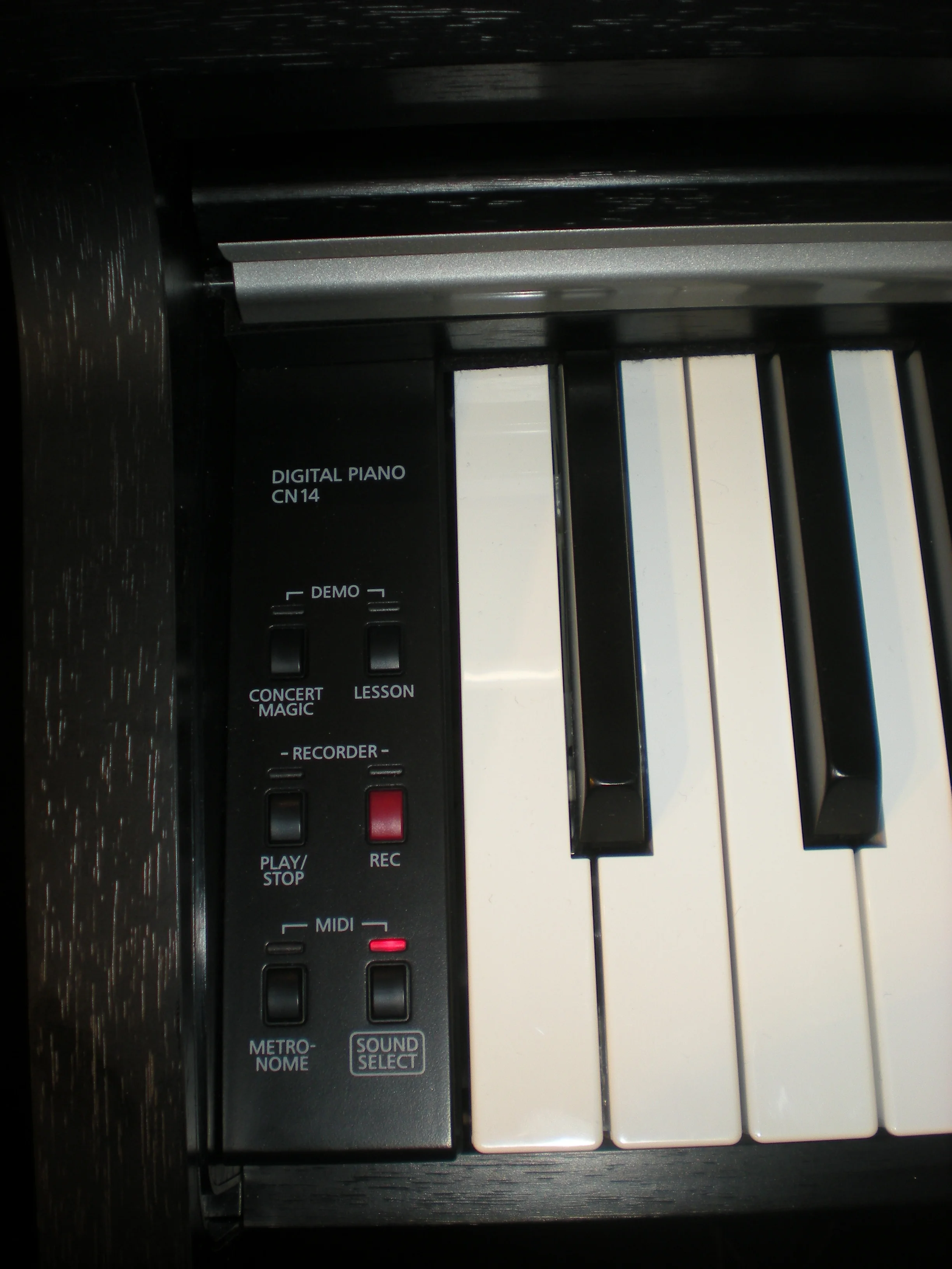 Kawai CN14 - panel
