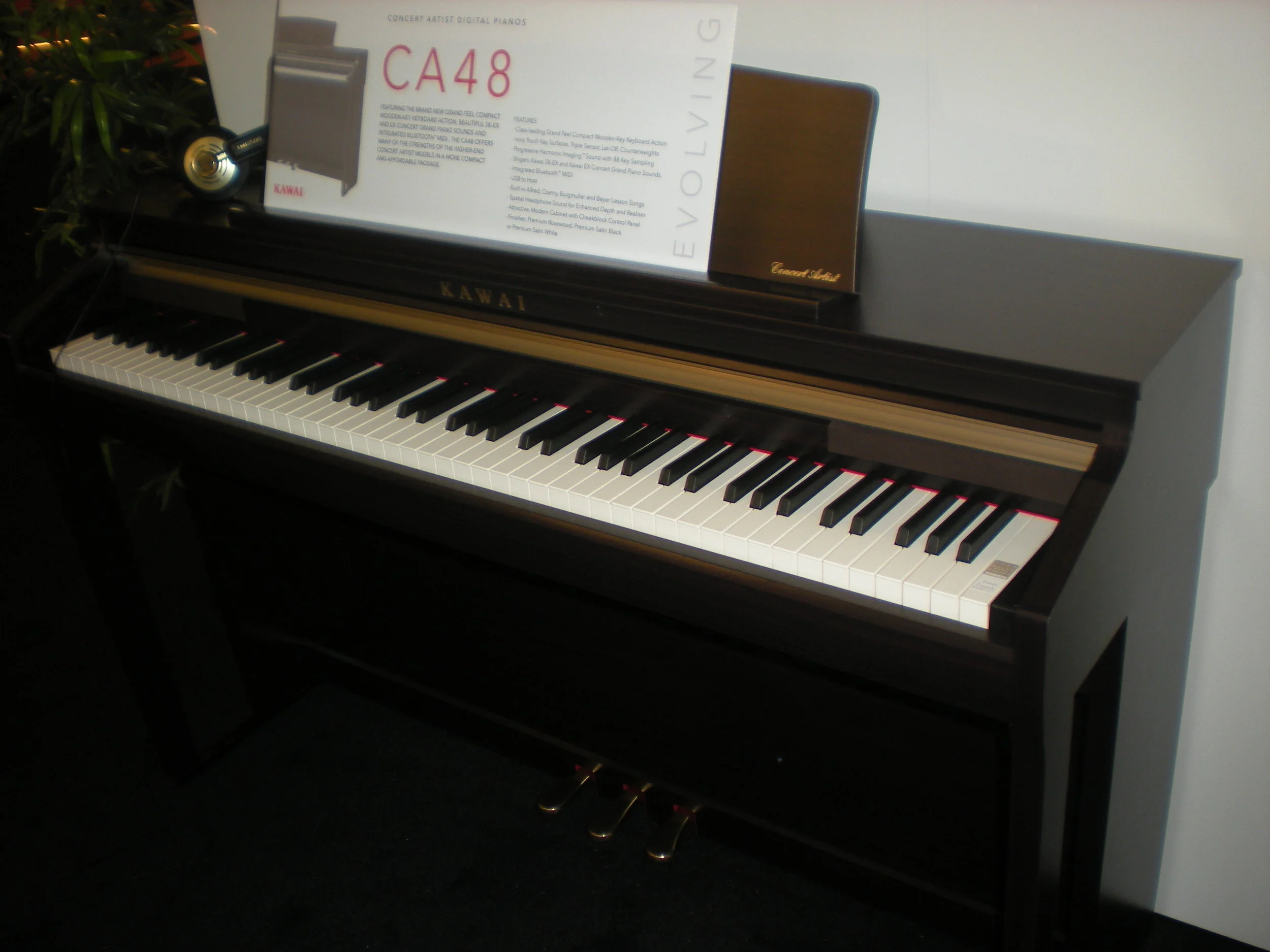Kawai CA48