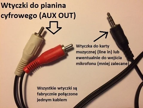 wtyczki_aux_out_line_in.jpg
