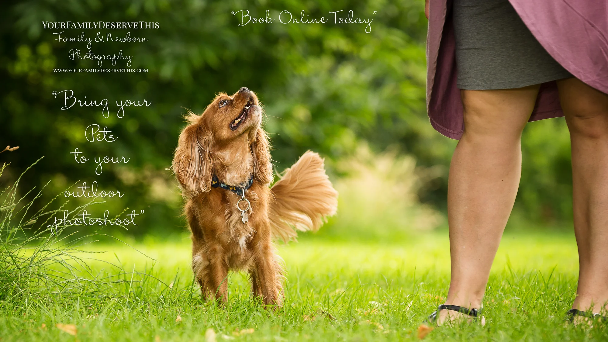 little dog looking excited at its owner - photographer - YouDeserveThis Headshots Makeover and Photography Studio Tadley Hampshire.jpg