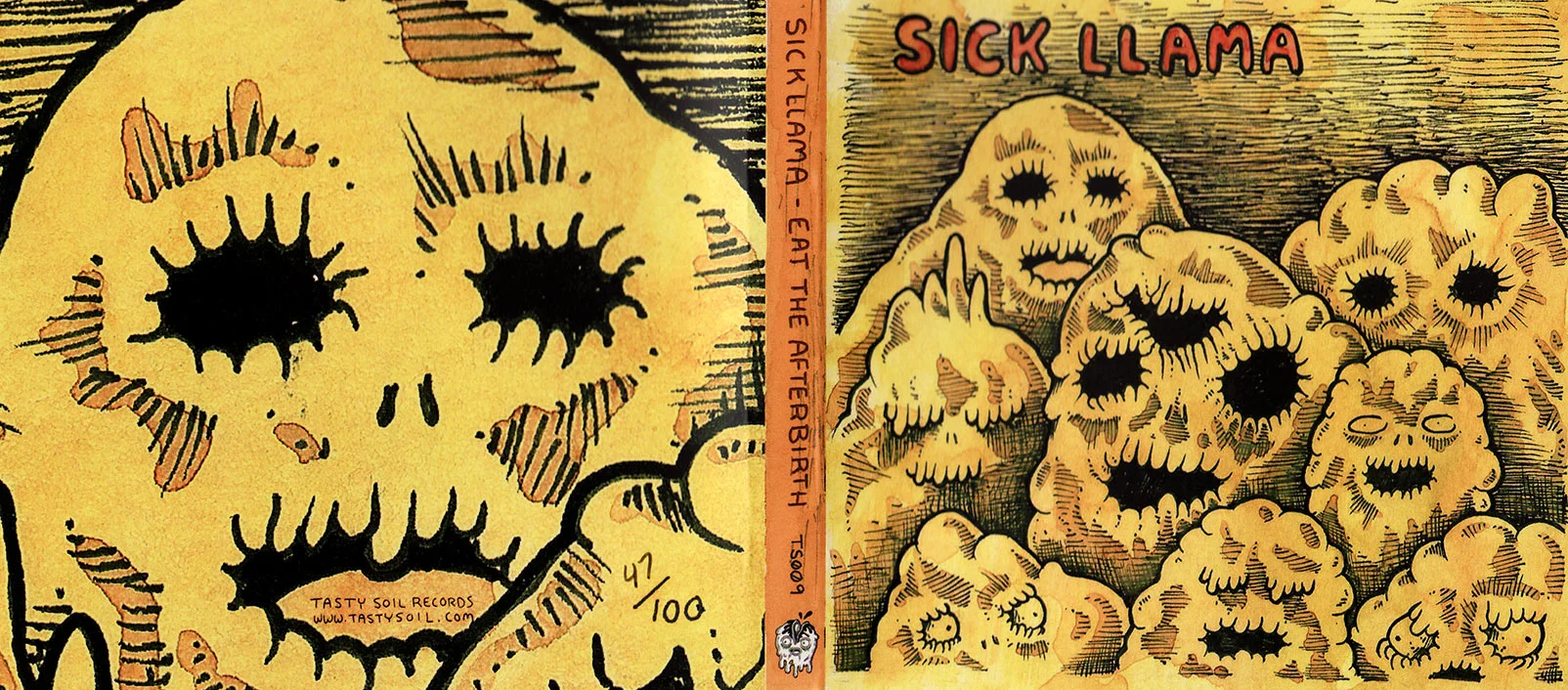 COVER + BACK