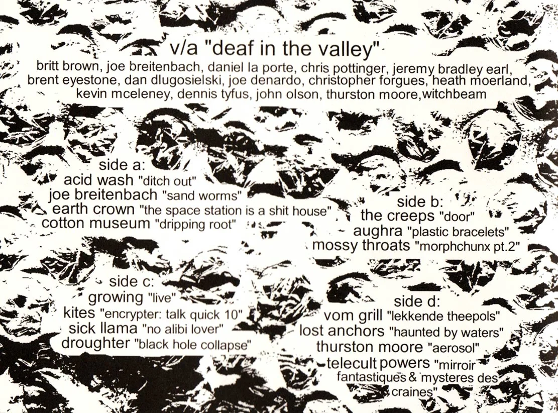 DEAF-IN-THE-VALLEY---BACK.jpg