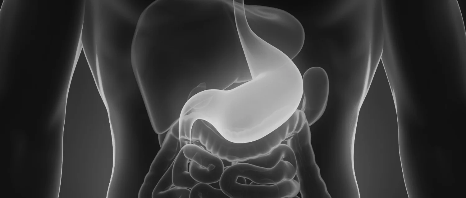 De haat-liefdeverhouding van maagzuur