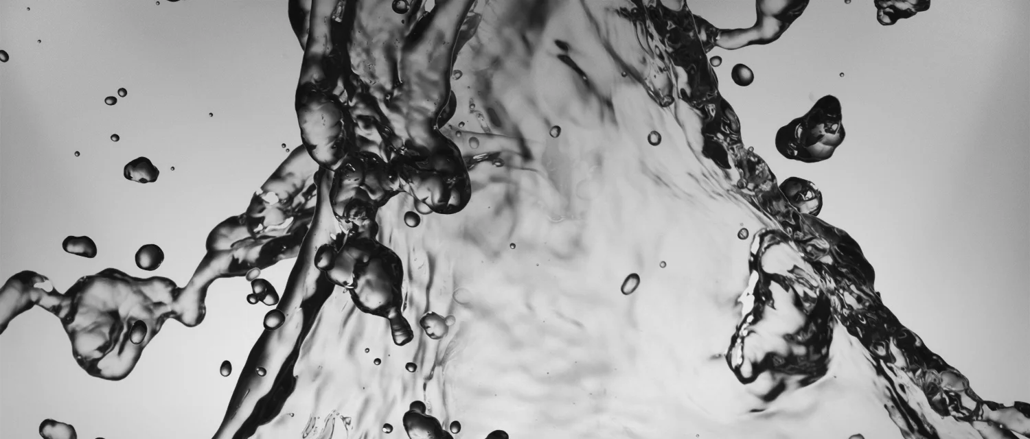 Het belang van waterinname