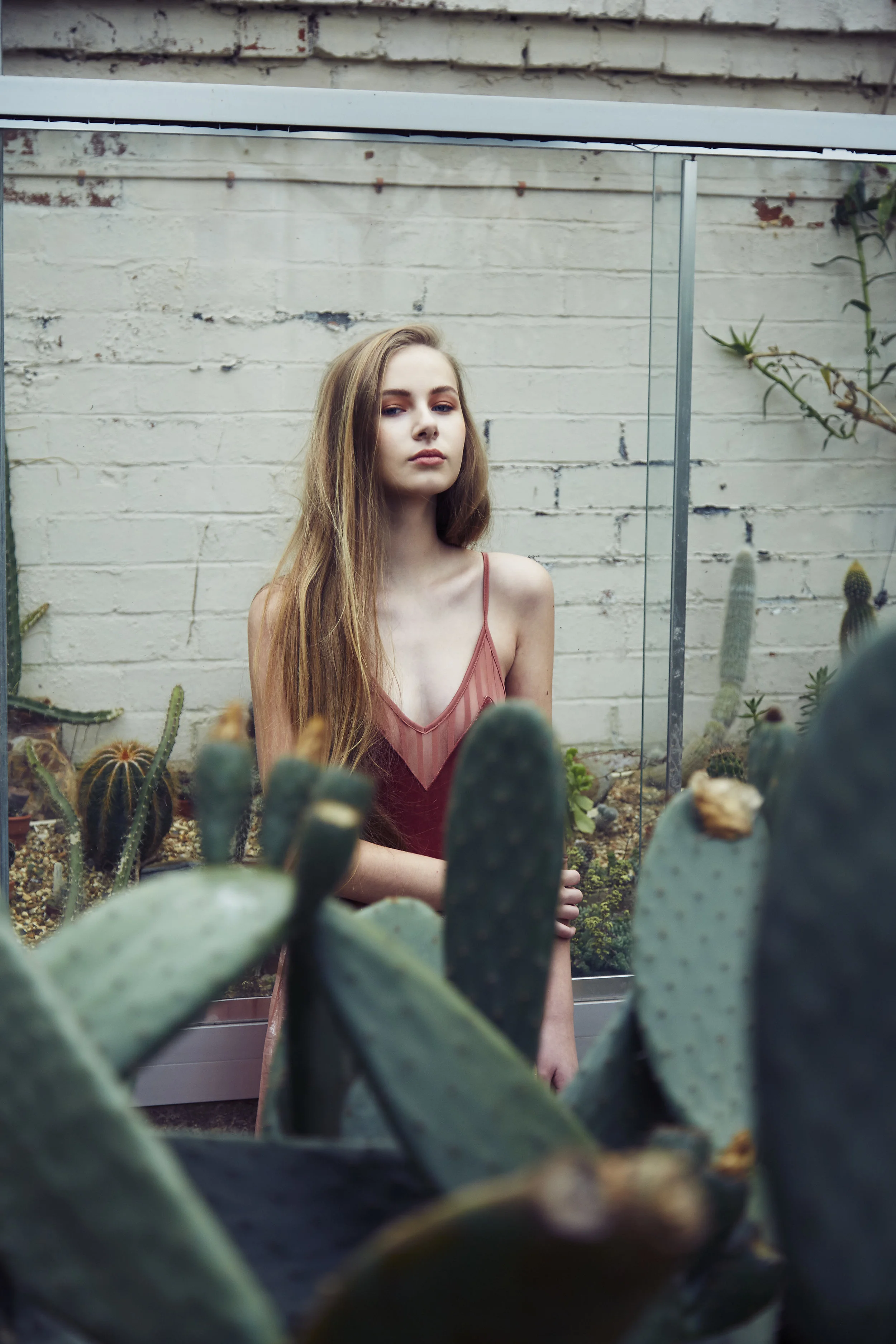 MEW_GREENHOUSE_048.jpg